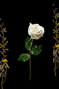 wall art - Digital download