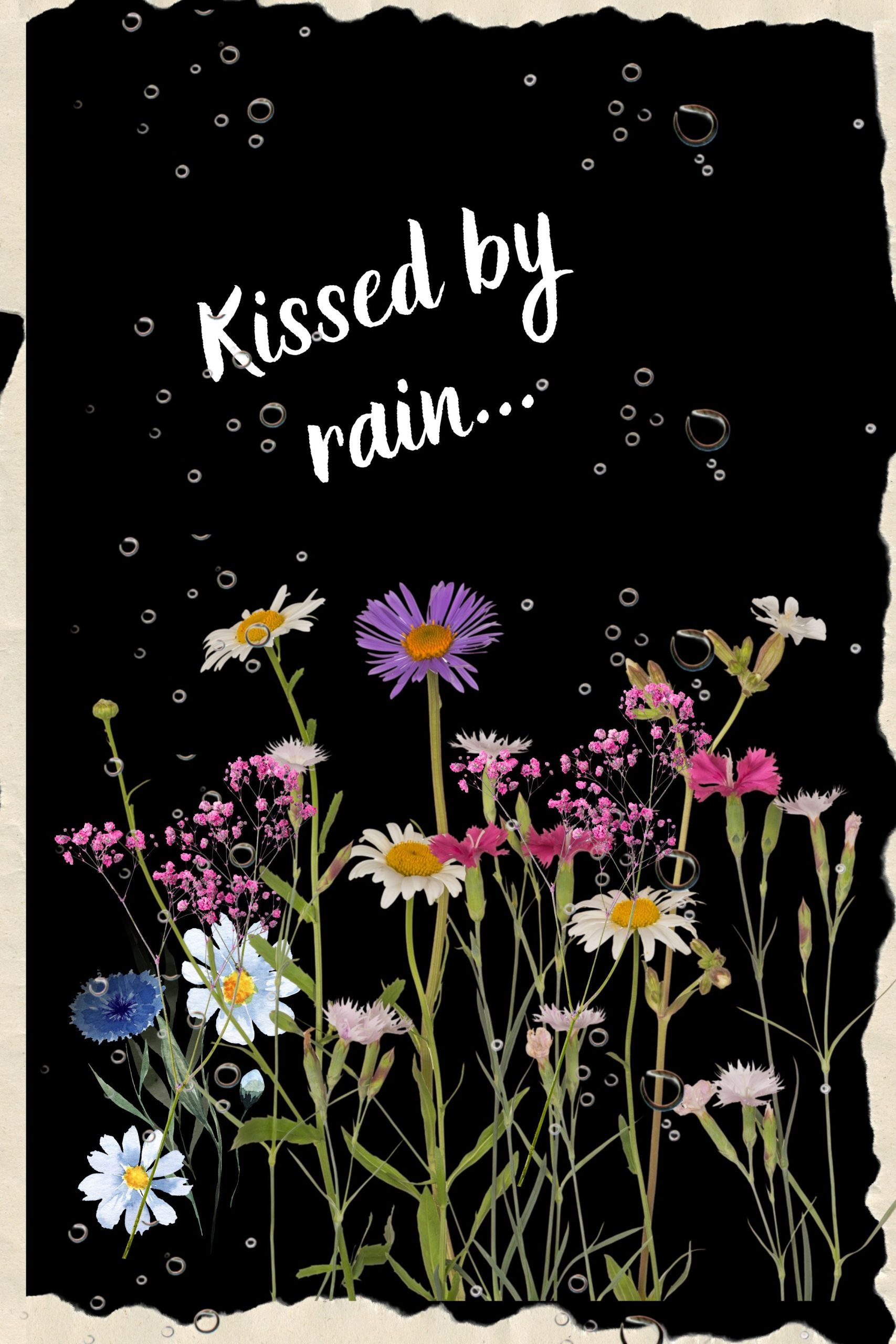 Wall Art – Digital Downloads