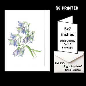 Handmade occasion greeting card