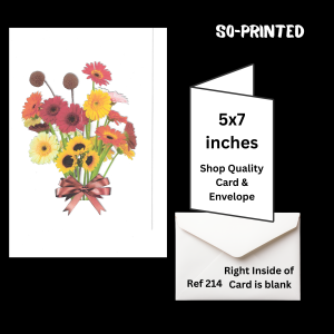 any occasion blank cards